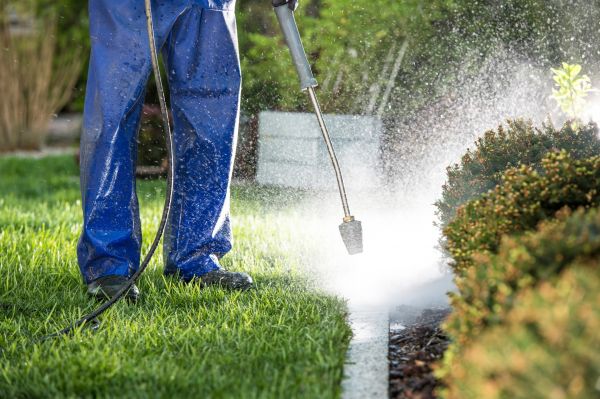 Curb Cleaning in Brandon