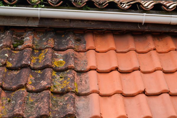Industrial Roof Cleaning in Brandon